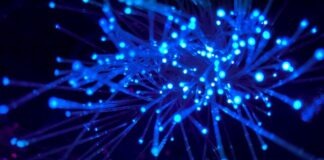 purple and blue light digital wallpaper