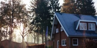 brown and red house near trees