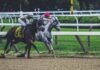 Linebet Affiliate Program two man riding horse while racing