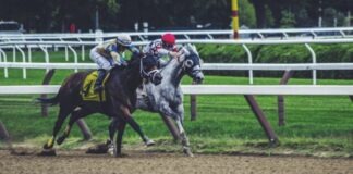 two man riding horse while racing