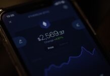 Dive into the World of Crypto Casinos: Games, Bonuses, and Things to Consider