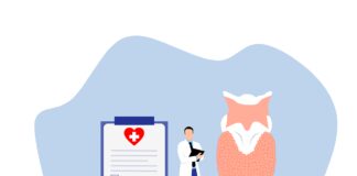 endocrinologist, thyroid, gland