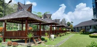 a row of wooden benches sitting next to a lush green park