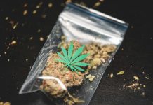 How to Set Up the Perfect Cannabis Smoke Sesh ground cannabis on clear plastic bag