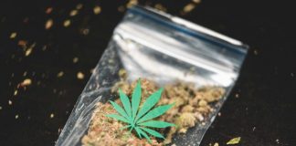 ground cannabis on clear plastic bag