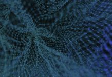 blue and white floral textile