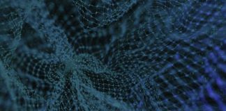 blue and white floral textile