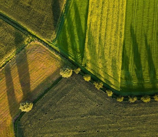 aerial photography of field
